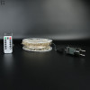 Гірлянда РОСА  Мішура 100м 2000 LED на мідному дроті з пультом IP44/IP65 вулична