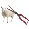 Набір для стрижки та саду: ножиці FEEl Long Wool Shears + перчатки з кігтями 