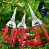 Прививочный секатор Professional Grafting Tool для сада, виноградников и питомников