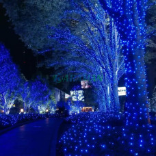 Гірлянда Вулична Нитка 800 LED/Синій/ Зелений Провід/50 Метрів