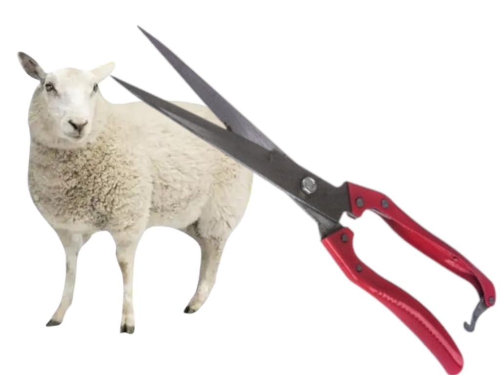 Набір для стрижки та саду: ножиці FEEl Long Wool Shears + перчатки з кігтями 