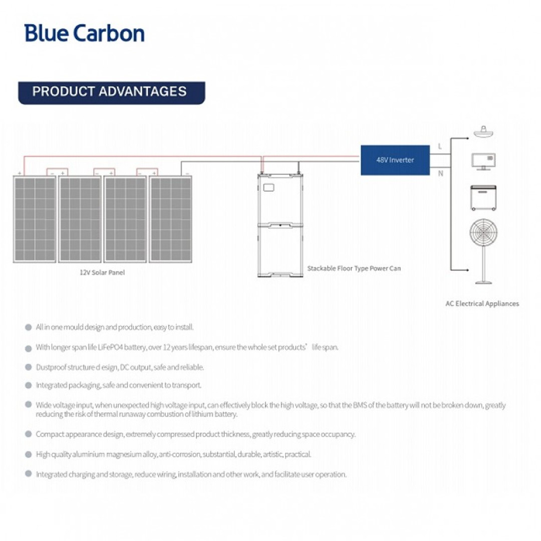 Аккумуляторная батарея Blue Carbon LiFePo4 48V 200Ah 10.24kWh BCT-V-48-200