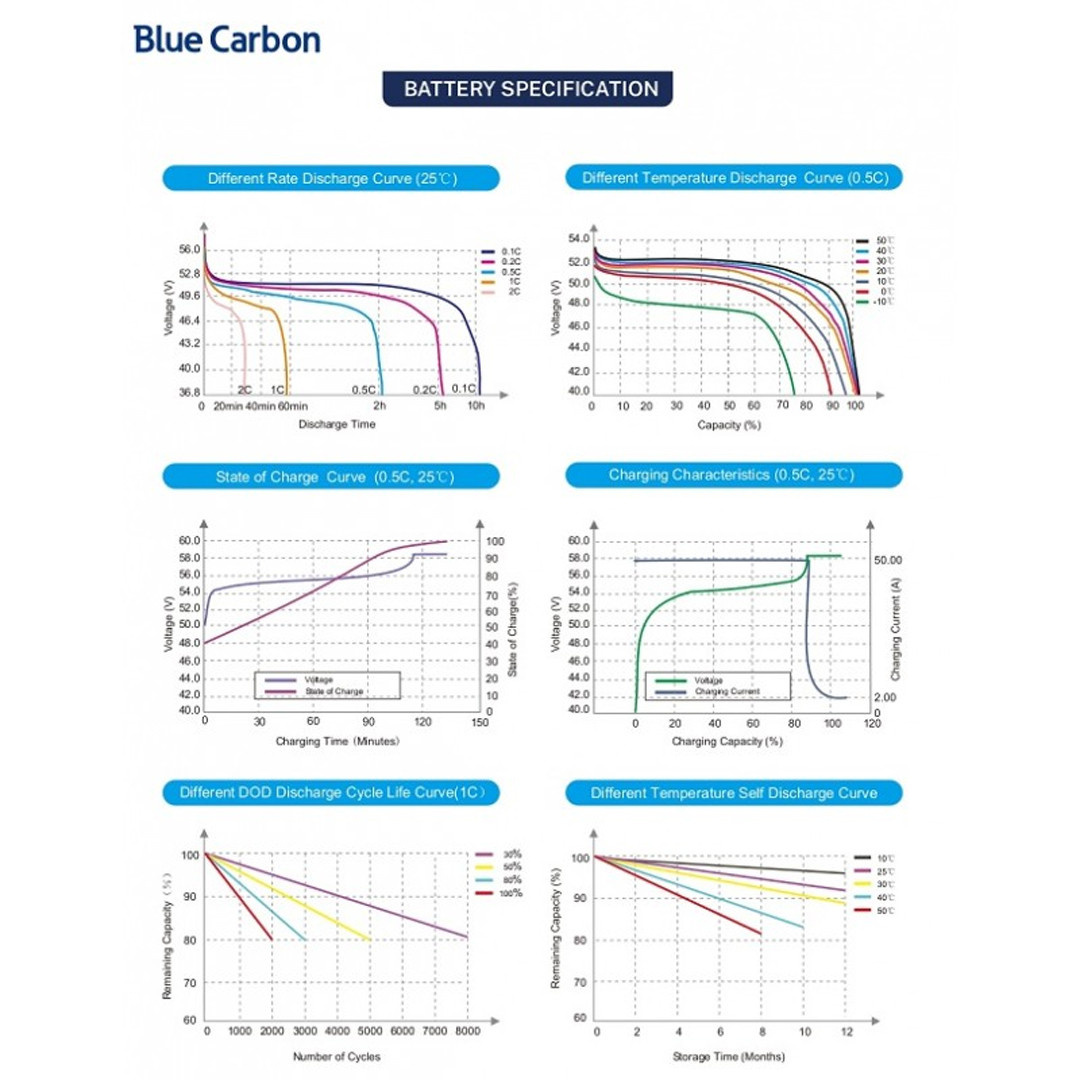 Аккумуляторная батарея Blue Carbon LiFePo4 48V 200Ah 10.24kWh BCT-V-48-200